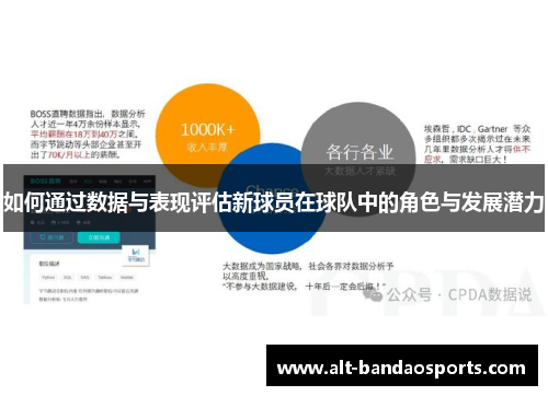 如何通过数据与表现评估新球员在球队中的角色与发展潜力